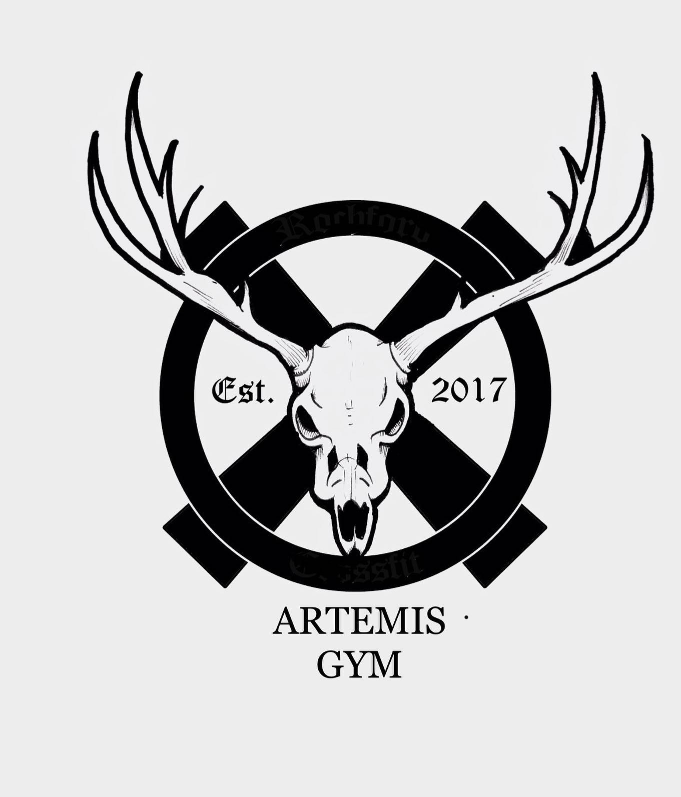 artemis gym